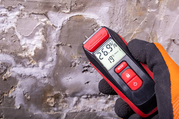 Professional Mold Remediation in Lake Barcroft, VA