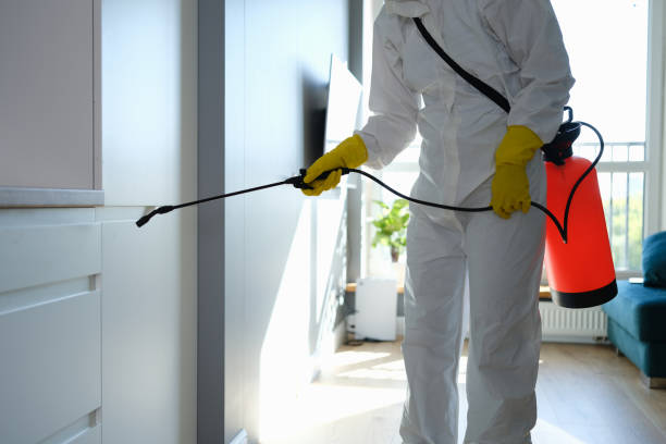 Best Localized Mold Remediation (e.g., coastal areas, humid climates) in Lake Barcroft, VA