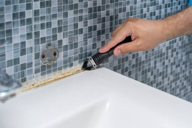 Best Residential Mold Remediation in Lake Barcroft, VA
